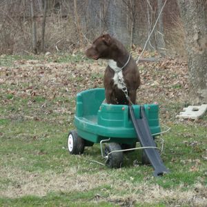 Meet your Posher, Lisa