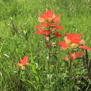 Meet your Posher, Madelyn