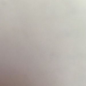 Meet your Posher, Latisha