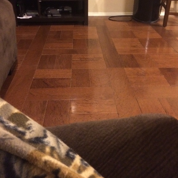 Meet your Posher, Reagan - Picture 1 of 1