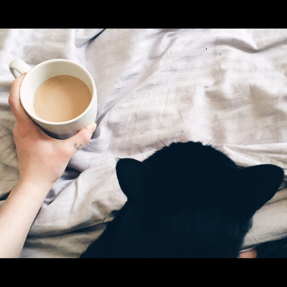 Meet your Posher, Katherine - Picture 4 of 4