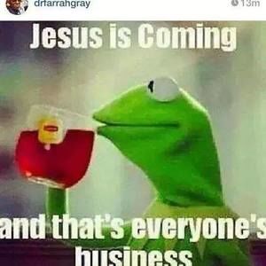 Meet your Posher, Marlene