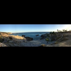 Meet your Posher, Robin