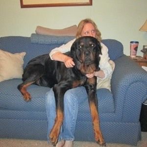 Meet your Posher, Kathlyn