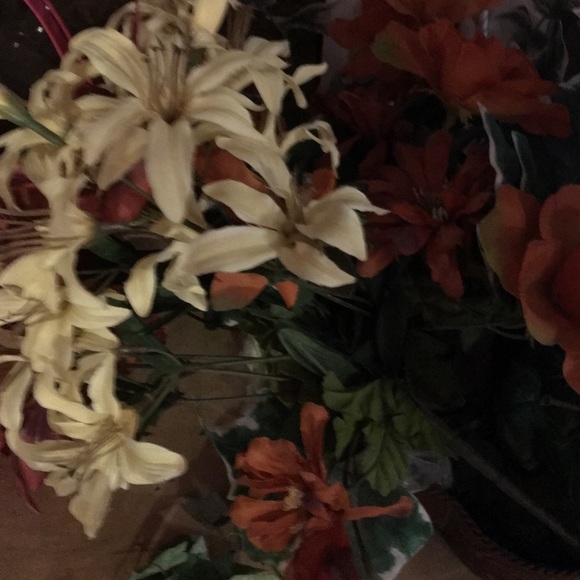 Meet your Posher, Claudia - Picture 2 of 2