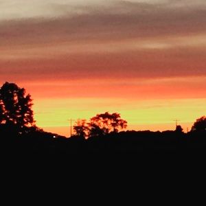 Meet your Posher, Richelle