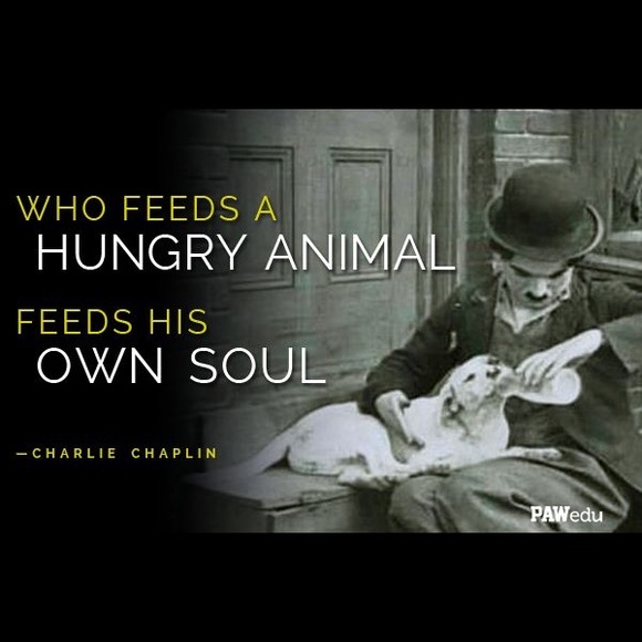 💐Hello and Welcome to my closet! ❤️ - Picture 3 of 3