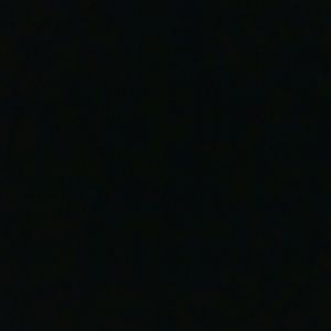 Meet your Posher, Sherrie