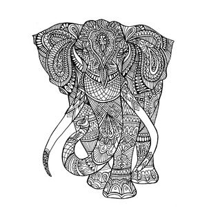 Meet your Posher, Zoe