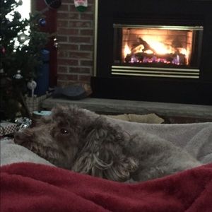 Meet your Posher, Dan