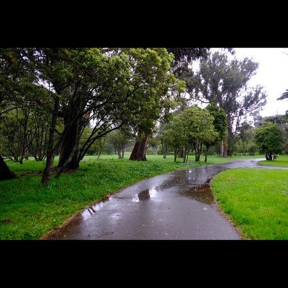 Meet your Posher, Vee - Picture 1 of 1