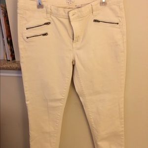 J crew stretch pant