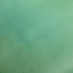 Meet your Posher, Paige