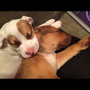 Meet your Posher, Lee