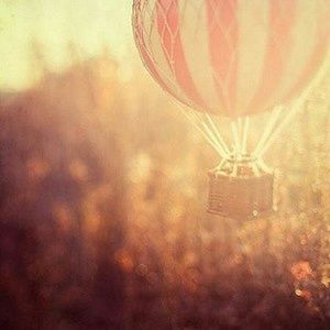 Meet your Posher, Gibin