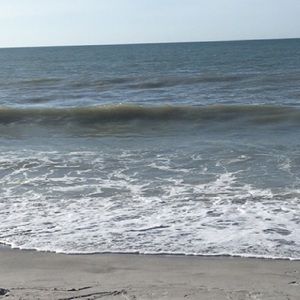 Meet your Posher, Summer