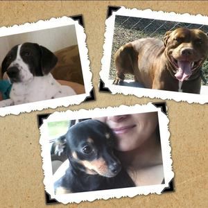 Meet your Posher, Gerri