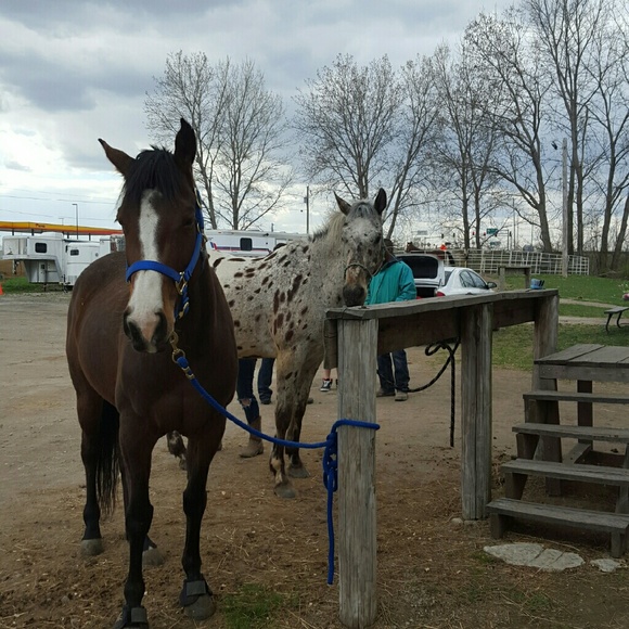 Meet your Posher, Brianna