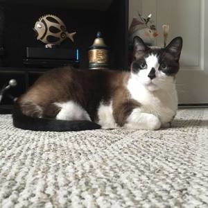 Meet your Posher, Kathy