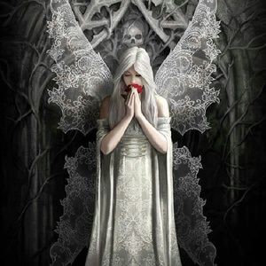 Meet your Posher, Laurie