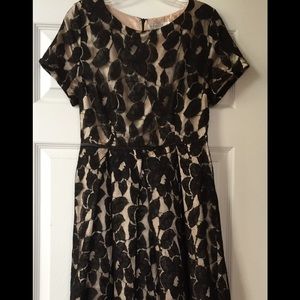 Mika Rose Champagne Satin and Black Lace overlay