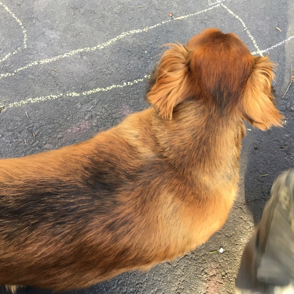 Meet your Posher, Mie