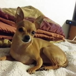 Meet your Posher, Darlene