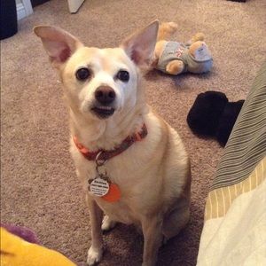 Meet your Posher, Victoria