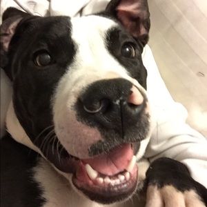 Meet your Posher, Jillian