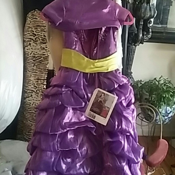 Baby Pageant or Flower Girl Gown - Picture 4 of 4