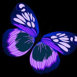 Meet your Posher, Ginger