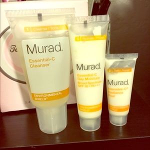 Murad mini skin care treatment