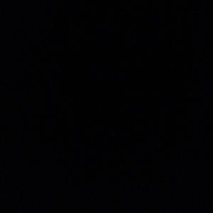 Meet your Posher, Tia