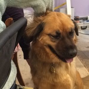 Meet your Posher, Jill