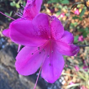 Meet your Posher, Beth