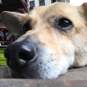 Meet your Posher, Maria