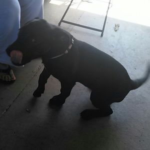 Meet your Posher, Ama