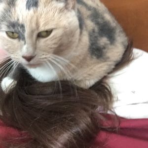 Meet your Posher, Corrine