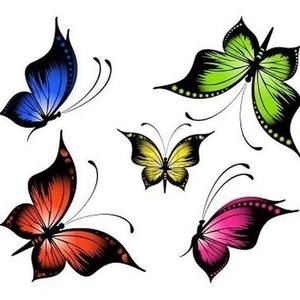 Meet your Posher, Esther