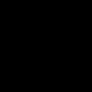 Meet your Posher, Eveyln