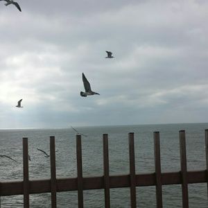 Meet your Posher, Quantail