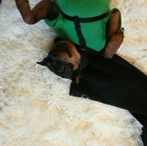 Meet your Posher, Christeen