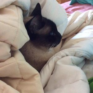 Meet your Posher, Pat