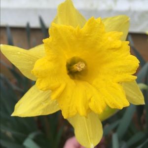 Meet your Posher, Debby