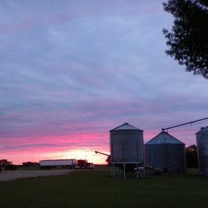 Meet your Posher, Carol