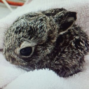 Meet your Posher, Therese