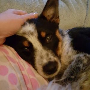 Meet your Posher, Kelly