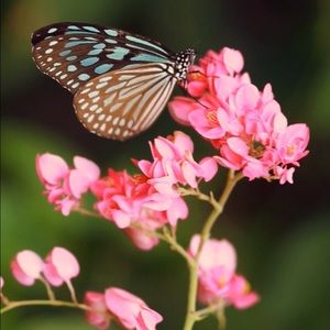 Meet your Posher, Tamara