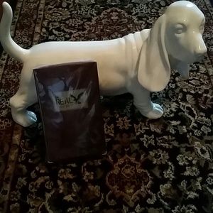 American Eagle Outfitters Cologne??