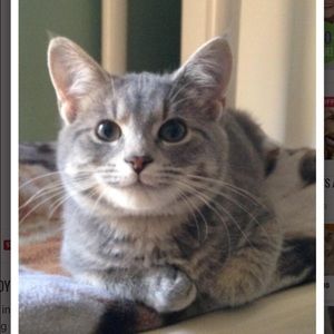 Meet your Posher, Cassandra